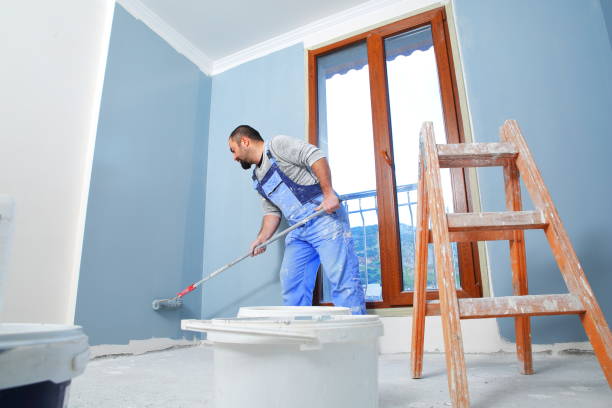 Best Mold Removal for HVAC Installations  in Auburn, WA