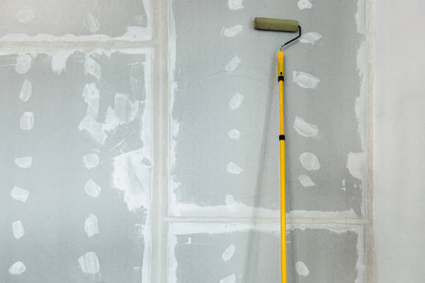 Best Basement Mold Removal  in Auburn, WA