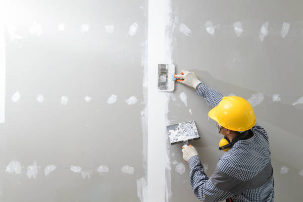 Best Forensic Mold Investigation  in Auburn, WA