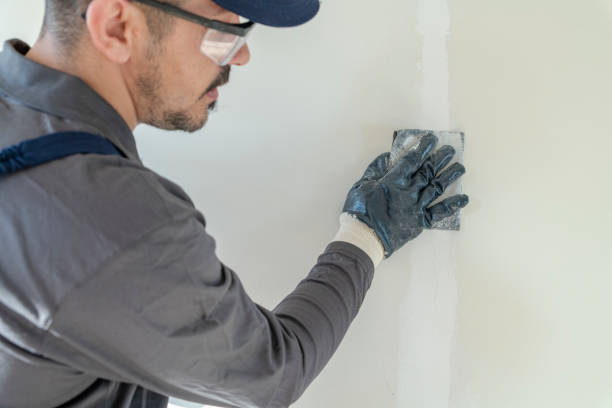 Best Air Quality Testing for Mold Spores  in Auburn, WA