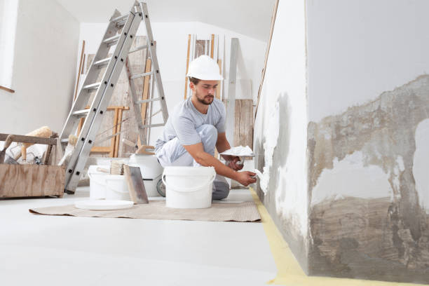 Best Crawl Space Mold Remediation  in Auburn, WA