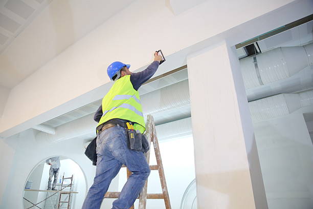 Reliable Auburn, WA Mold Removal Solutions