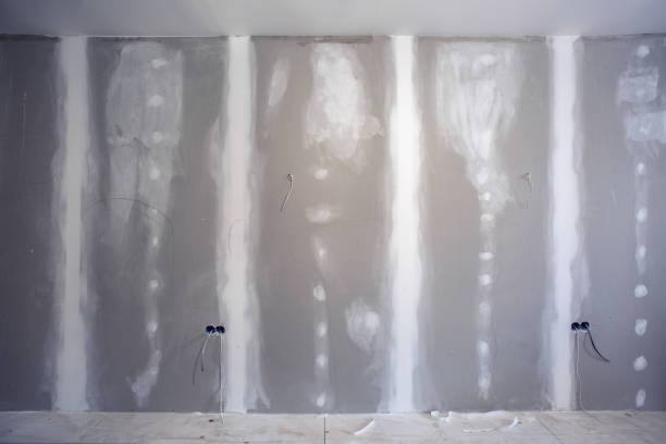 Best Environmental Consulting for Mold Prevention  in Auburn, WA
