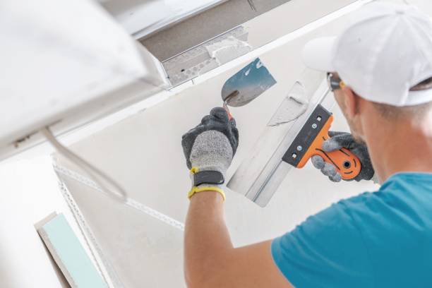 Environmental Consulting for Mold Prevention in Auburn, WA